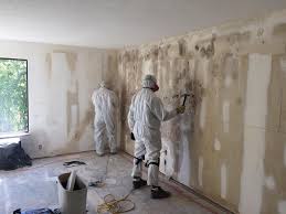 Best Residential Mold Inspection & Testing  in Vauxhall, NJ